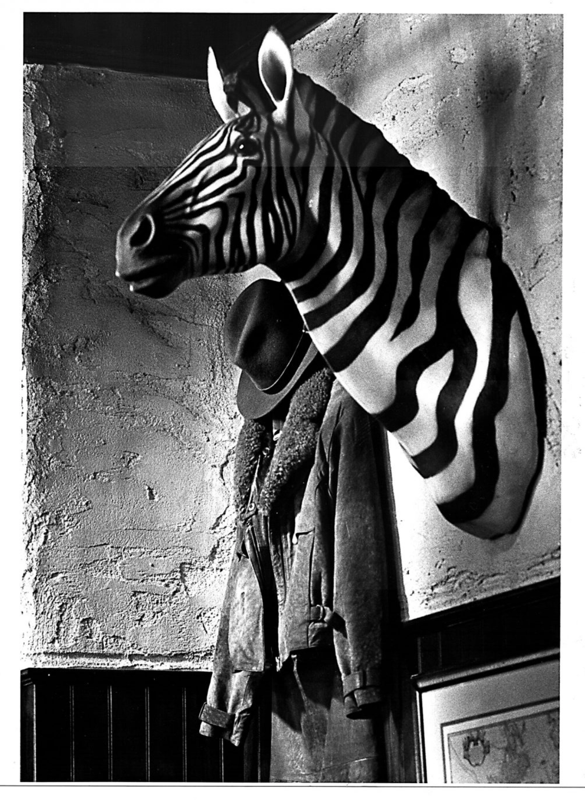 Hank the Zebra — Alison Pickart